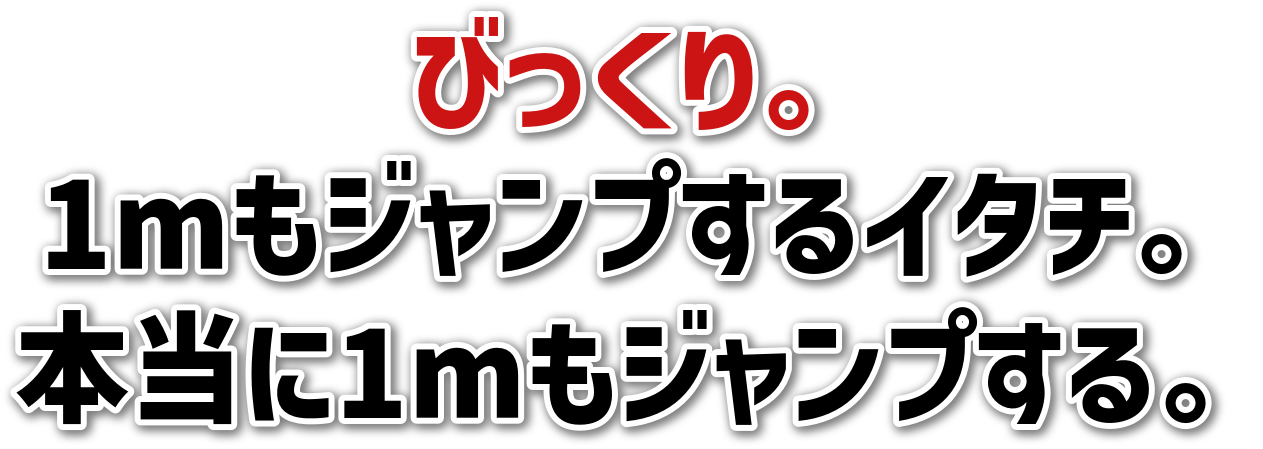 тB<br>1mWvC^`B<br>{1mWvB