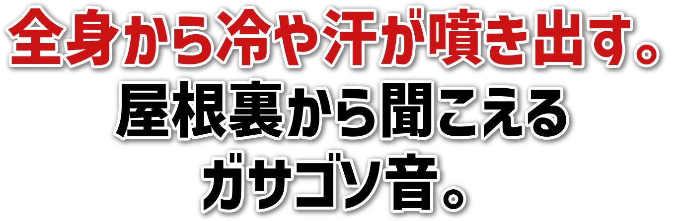 Sg⊾oB<br>畷<br>KTS\B