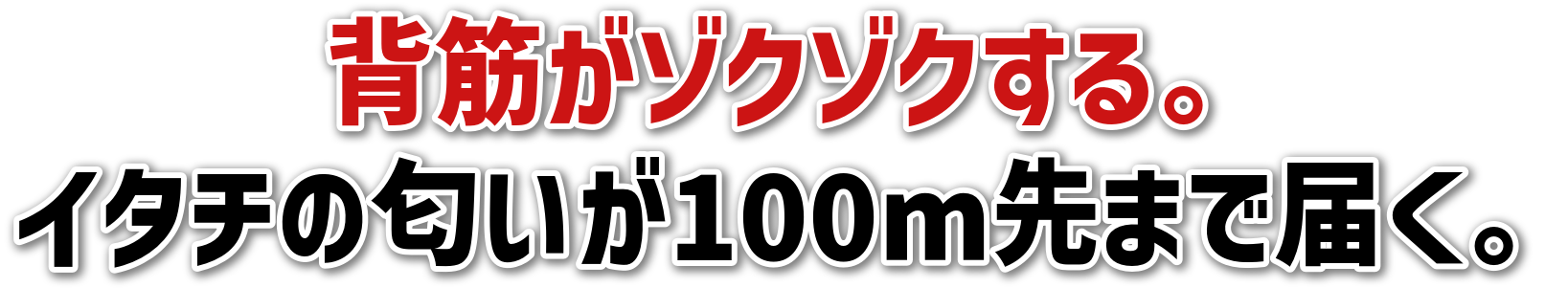 w؂]N]NB<br>C^`̓100m܂œ͂B