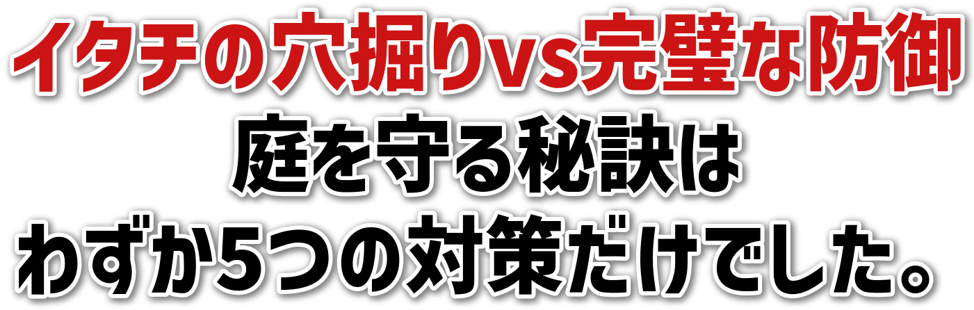 C^`̌@vsȖh<br>錍<br>킸5̑΍􂾂łB