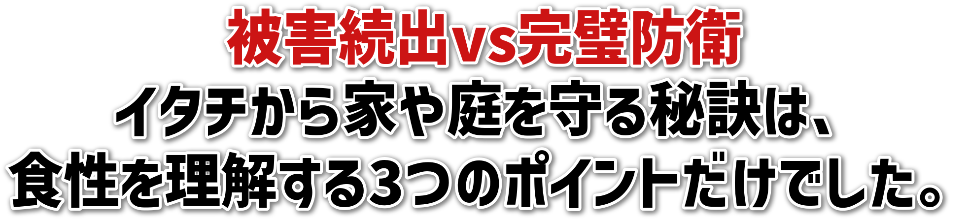 Qovshq<br>C^`Ƃ錍́A<br>H𗝉3̃|CgłB
