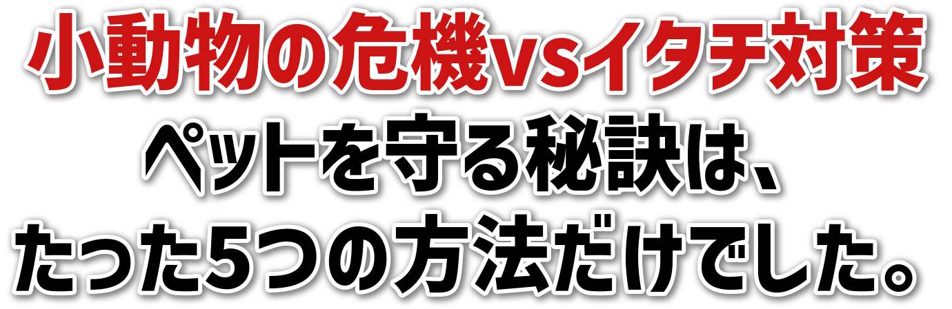 ̊@vsC^`΍<br>ybg錍́A<br>5̕@łB