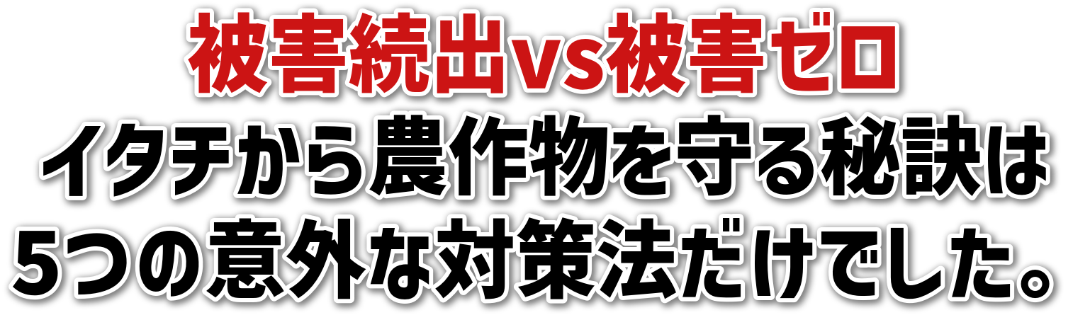 QovsQ[<br>C^`_앨錍<br>5̈ӊOȑ΍@łB