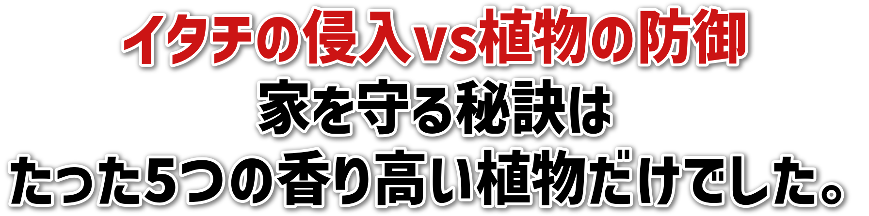 C^`̐NvsA̖h<br>Ƃ錍<br>5̍荂AłB