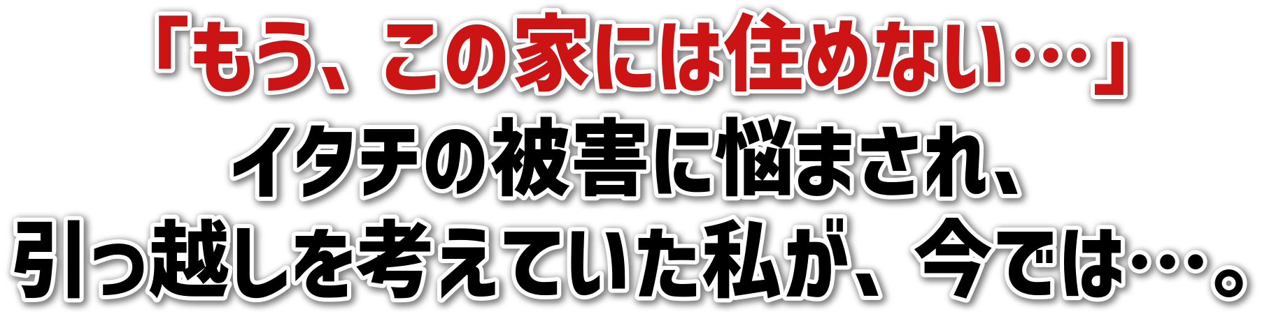 uẢƂɂ͏Z߂Ȃcv<br>C^`̔QɔY܂A<br>zlĂAł́cB