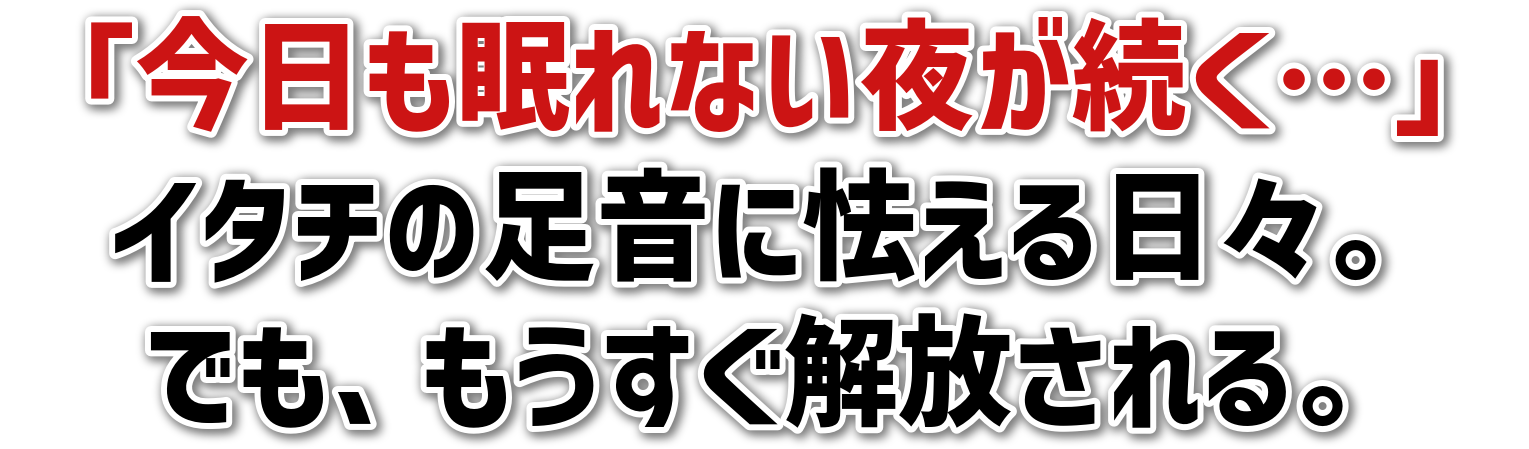 uȂ邪cv<br>C^`̑ɋXB<br>łAB