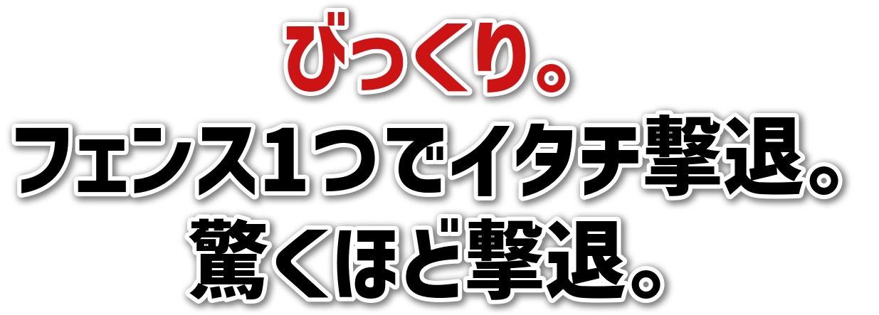 тB<br>tFX1ŃC^`ށB<br>قǌށB