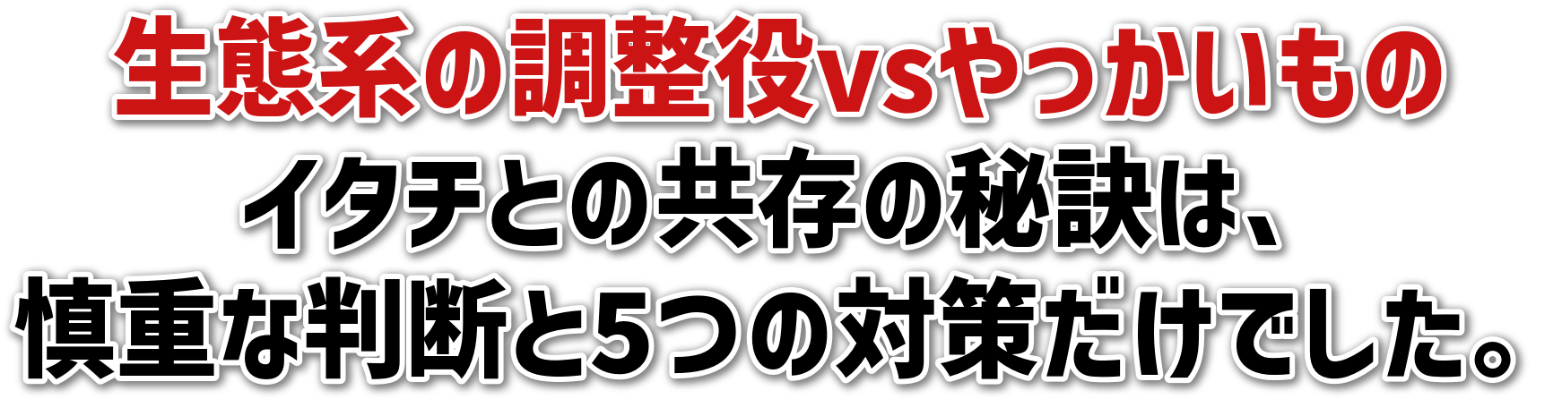 Ԍn̒vs<br>C^`Ƃ̋̔錍́A<br>TdȔf5̑΍􂾂łB